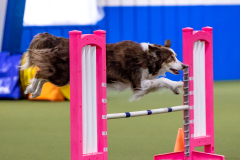 2023-AADTC-April-Trial-131