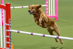 2023-AADTC-April-Trial-1317