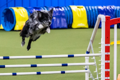 2023-AADTC-April-Trial-1318