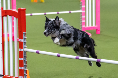 2023-AADTC-April-Trial-1319