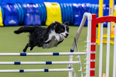 2023-AADTC-April-Trial-1320