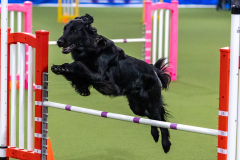 2023-AADTC-April-Trial-1325