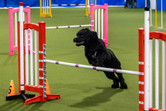 2023-AADTC-April-Trial-1343