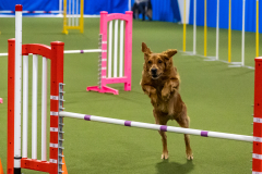 2023-AADTC-April-Trial-1347