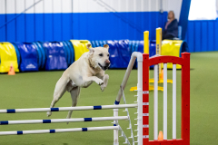 2023-AADTC-April-Trial-1348