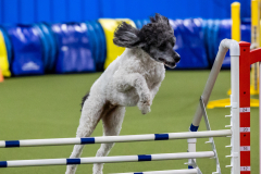 2023-AADTC-April-Trial-1350