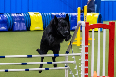 2023-AADTC-April-Trial-1352