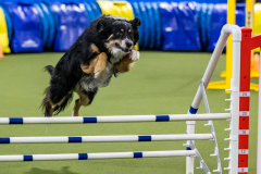 2023-AADTC-April-Trial-1353