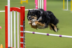 2023-AADTC-April-Trial-1354