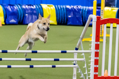 2023-AADTC-April-Trial-1355