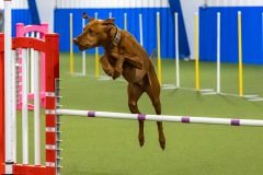 2023-AADTC-April-Trial-1357