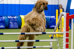 2023-AADTC-April-Trial-1360