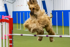 2023-AADTC-April-Trial-1361