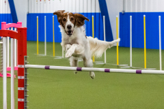 2023-AADTC-April-Trial-1362