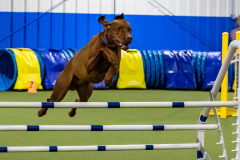 2023-AADTC-April-Trial-1365