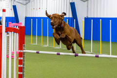 2023-AADTC-April-Trial-1366