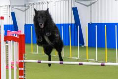 2023-AADTC-April-Trial-1374