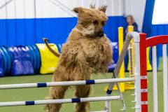 2023-AADTC-April-Trial-1375