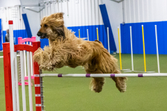 2023-AADTC-April-Trial-1376