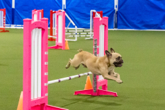 2023-AADTC-April-Trial-1378