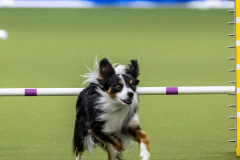 2023-AADTC-April-Trial-1379