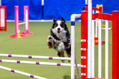 2023-AADTC-April-Trial-138