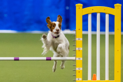 2023-AADTC-April-Trial-1393