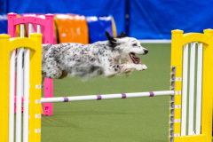 2023-AADTC-April-Trial-1398