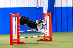 2023-AADTC-April-Trial-140