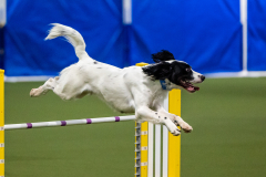 2023-AADTC-April-Trial-1410