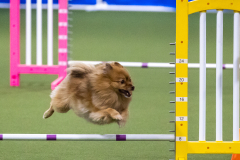 2023-AADTC-April-Trial-1411