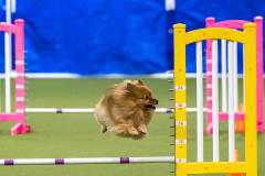 2023-AADTC-April-Trial-1412