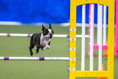 2023-AADTC-April-Trial-1416