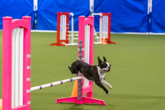 2023-AADTC-April-Trial-1417