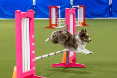 2023-AADTC-April-Trial-1420