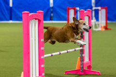 2023-AADTC-April-Trial-1429