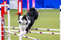 2023-AADTC-April-Trial-143