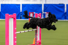 2023-AADTC-April-Trial-1439