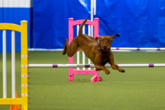 2023-AADTC-April-Trial-1444