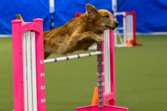 2023-AADTC-April-Trial-1453