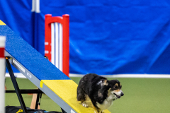 2023-AADTC-April-Trial-1459