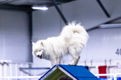 2023-AADTC-April-Trial-146