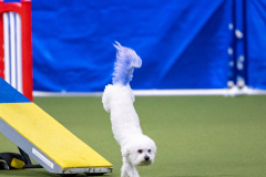 2023-AADTC-April-Trial-1461