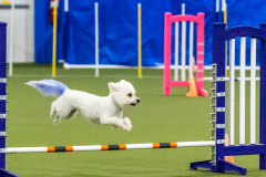 2023-AADTC-April-Trial-1462