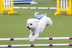 2023-AADTC-April-Trial-1463