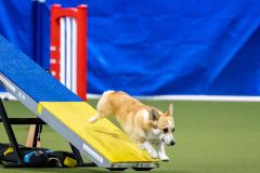 2023-AADTC-April-Trial-1464