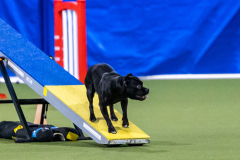 2023-AADTC-April-Trial-1466