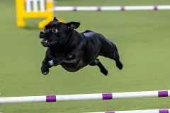 2023-AADTC-April-Trial-1468