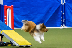 2023-AADTC-April-Trial-1470