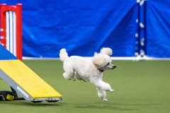 2023-AADTC-April-Trial-1472